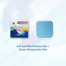 Load image into Gallery viewer, MAGWAI Shampoo Bar Starter Kit Bundle | Shampoo Bar + Dish / Travel Case