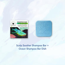 Load image into Gallery viewer, MAGWAI Shampoo Bar Starter Kit Bundle | Shampoo Bar + Dish / Travel Case